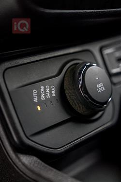 جيب رينيجيد